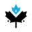 Maple-Hosting