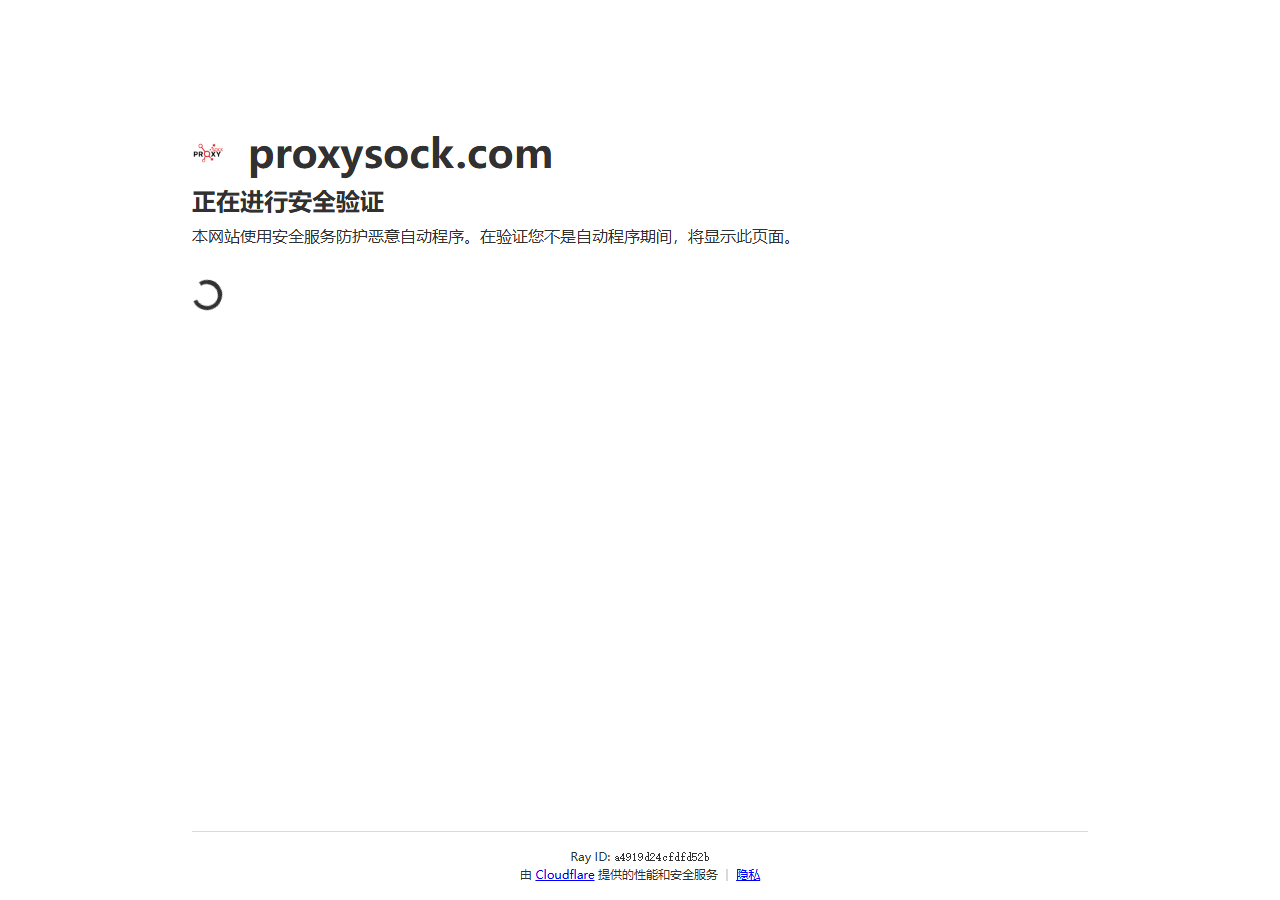 ProxySock official website homepage