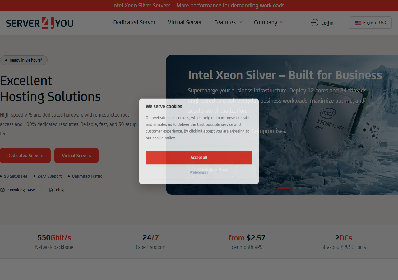 Server4You official website homepage