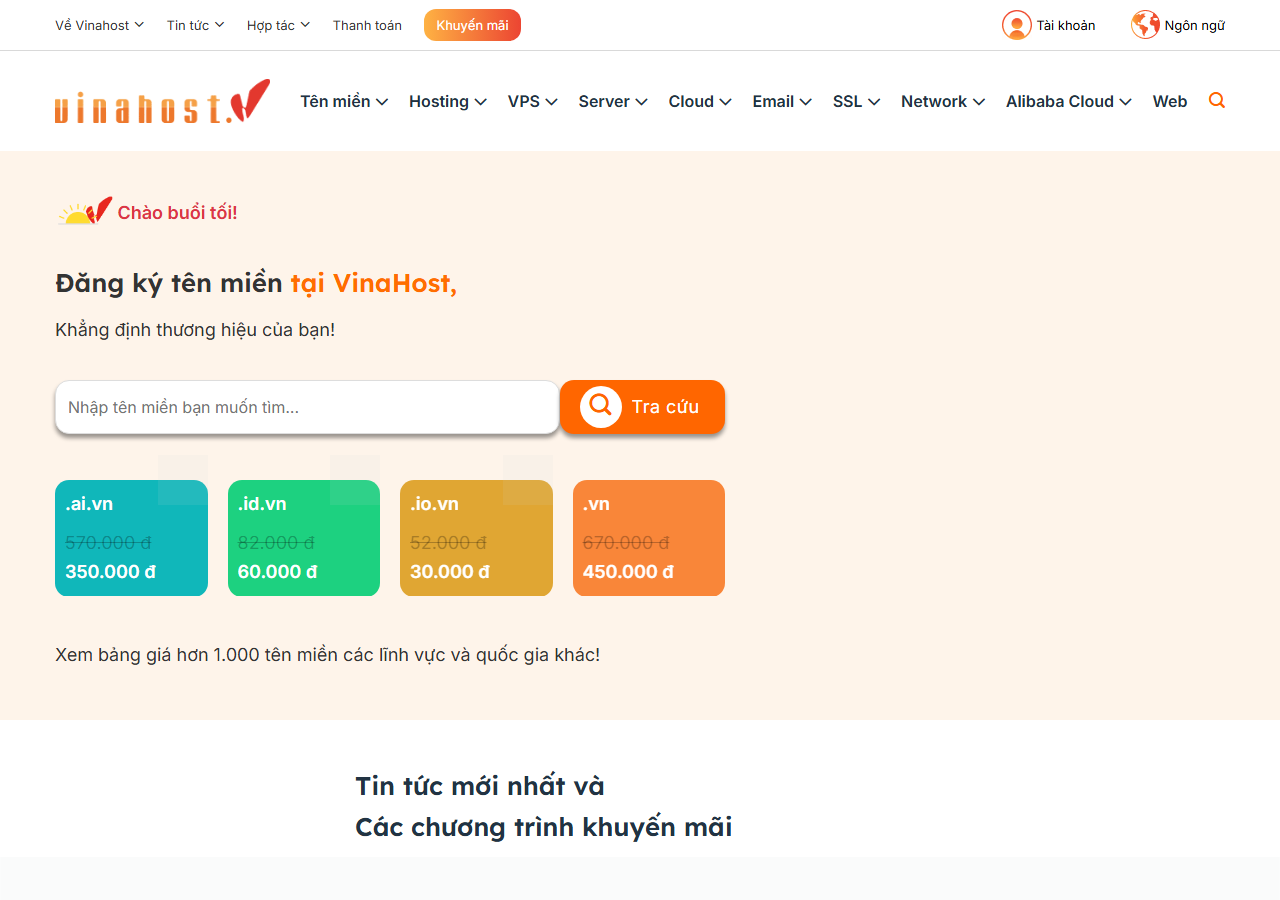 VinaHost official website homepage